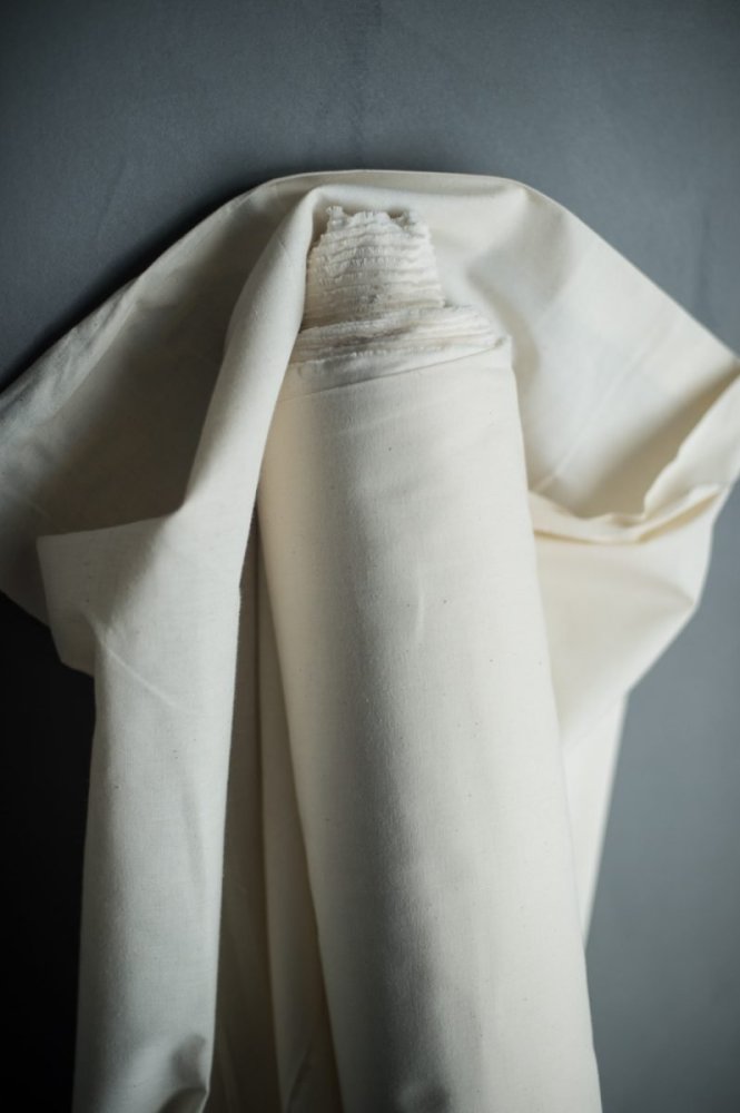 Remnant (Calico)
