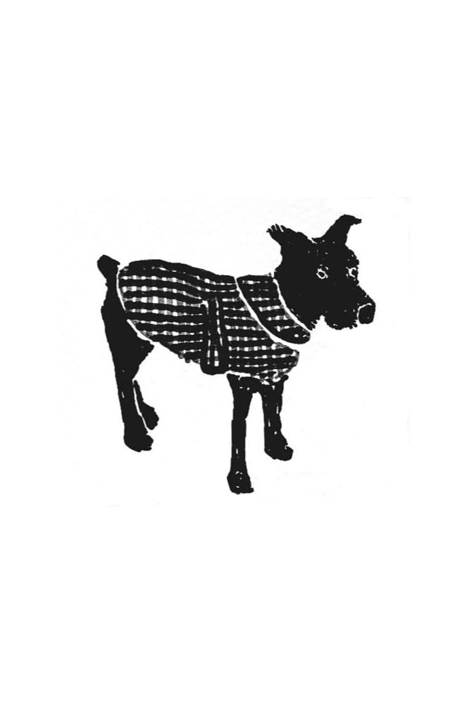 The Barka Dog Coat
