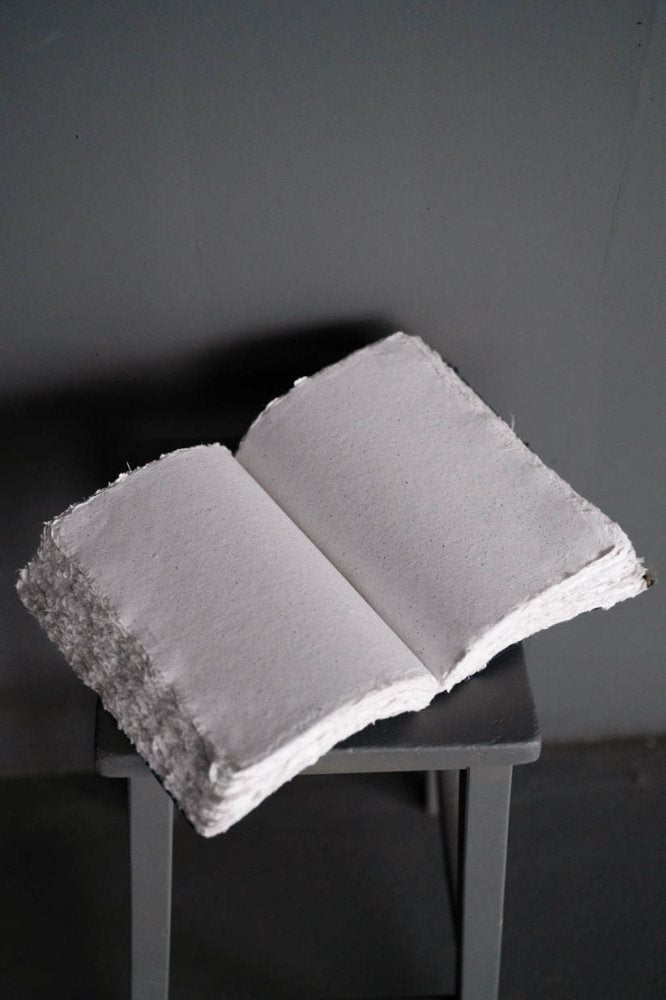 Indigo Biblio
